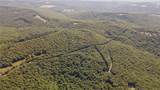 163 Acres Low Gap Road - Photo 13