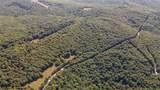 163 Acres Low Gap Road - Photo 14