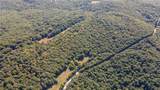 163 Acres Low Gap Road - Photo 15