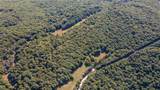 163 Acres Low Gap Road - Photo 16