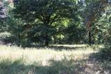 163 Acres Low Gap Road - Photo 18