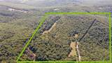 163 Acres Low Gap Road - Photo 2