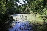 163 Acres Low Gap Road - Photo 20