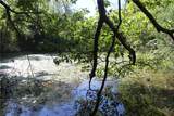 163 Acres Low Gap Road - Photo 21
