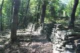 163 Acres Low Gap Road - Photo 22