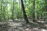 163 Acres Low Gap Road - Photo 26