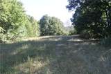 163 Acres Low Gap Road - Photo 3