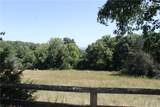 163 Acres Low Gap Road - Photo 34