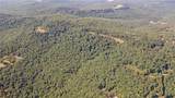 163 Acres Low Gap Road - Photo 7