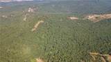 163 Acres Low Gap Road - Photo 8