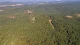163 Acres Low Gap Road - Photo 9