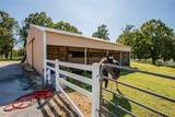 1224 Maestri Road - Photo 14