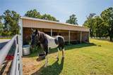 1224 Maestri Road - Photo 15