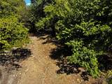 10820 & 10846 Illinois Chapel Road - Photo 1