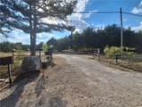 3369 County Road 219 - Photo 1