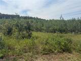 000 Williams Ridge Drive - Photo 1