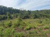 000 Williams Ridge Drive - Photo 3