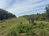 000 Williams Ridge Drive - Photo 5