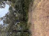 TBD Lot 23 2340 Madi Madison 2340 - Photo 2