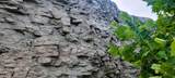29423 Hwy 123 - Photo 18