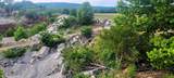 29423 Hwy 123 - Photo 8