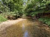Lot 2 Puppy Creek Road - Photo 4