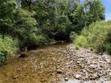 Lot 2 Puppy Creek Road - Photo 5