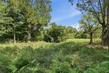 Lot 2 Puppy Creek Road - Photo 6