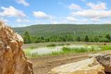 86 Lots Round Mountain Estates - Photo 2