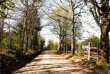 7721 Summit Road - Photo 15