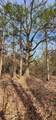 TBD Slo Fork Road - Photo 9