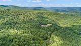 2404 Ross Mountain Road - Photo 46