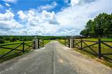 541 Reed Valley Road - Photo 4