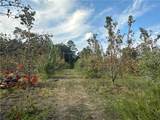 1744 County Road 114 - Photo 24