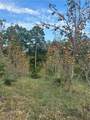 1744 County Road 114 - Photo 25