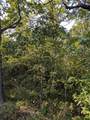 36 Starlite Avenue - Photo 4
