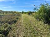 TBD Lake Francis Road - Photo 5