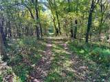 TBD Lake Francis Road - Photo 6