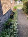 1020 Cypress Street - Photo 3