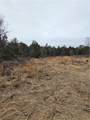TBD S City Lake Road - Photo 14