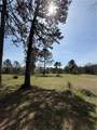 3515 Linker Mountain Road - Photo 37