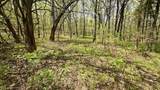 14731 Bush Road - Photo 50