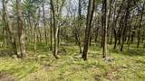 14731 Bush Road - Photo 51