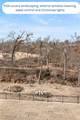 1039 A Street - Photo 21