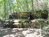 1029 Bear Hollow Road - Photo 21