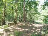 1029 Bear Hollow Road - Photo 31