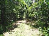1029 Bear Hollow Road - Photo 32