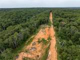 15.31 Acres Punkin Hollow Road - Photo 11