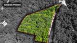 3.15 Acres War Eagle Blacktop Road - Photo 2