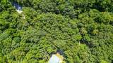 3.15 Acres War Eagle Blacktop Road - Photo 23